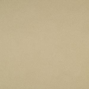 Rangers Cashmere