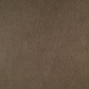Rangers Khaki