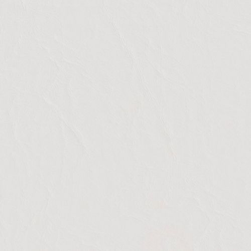 519970 White Vinyl